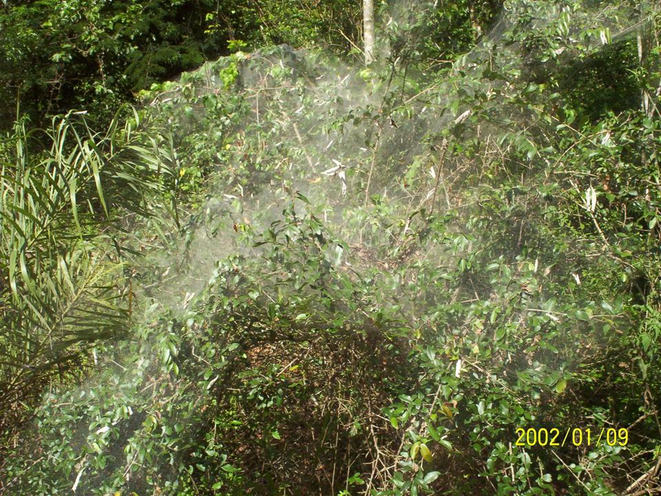 FIGURE 3 FIGURE 3